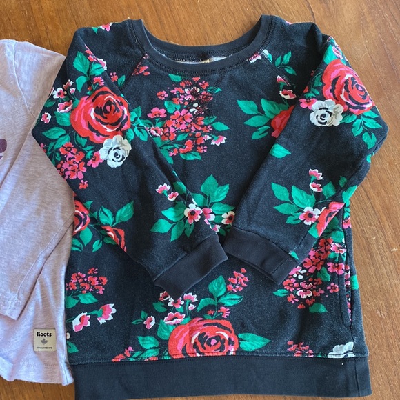 Girls 4T/5T bundle. Roots Lilac long sleeve and Carters Floral Crew sweatshirt! - Picture 3 of 7